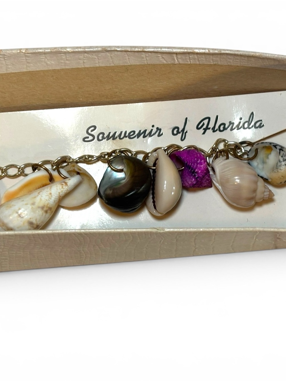 Vintage Florida Seashell Charm Bracelet in Box - Picture 2 of 9
